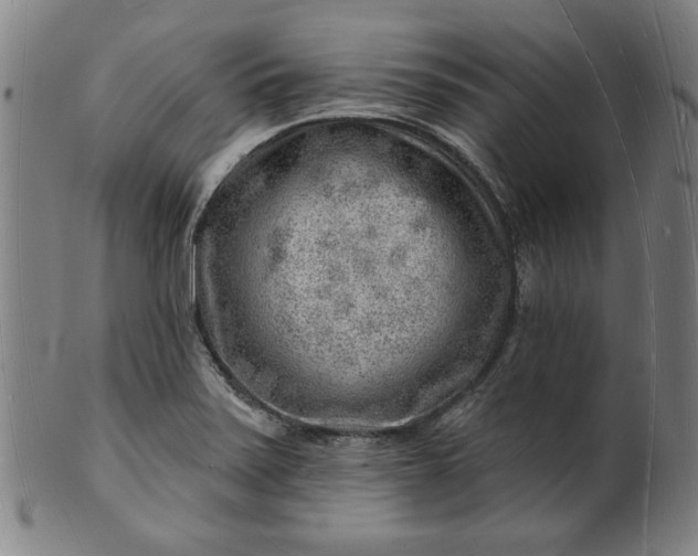 X0000101471371200807211327