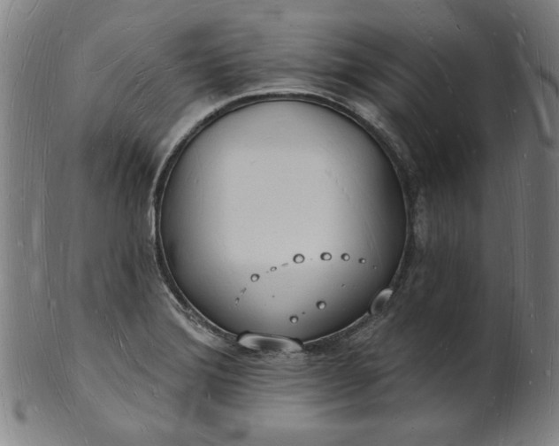 X0000101471372200807211327