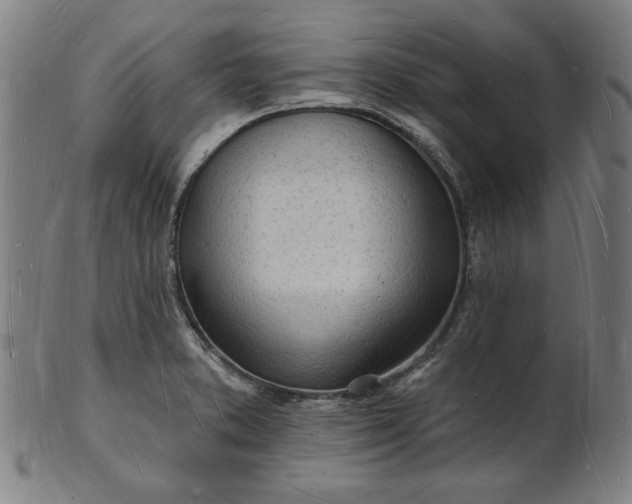 X0000101471373200807211327