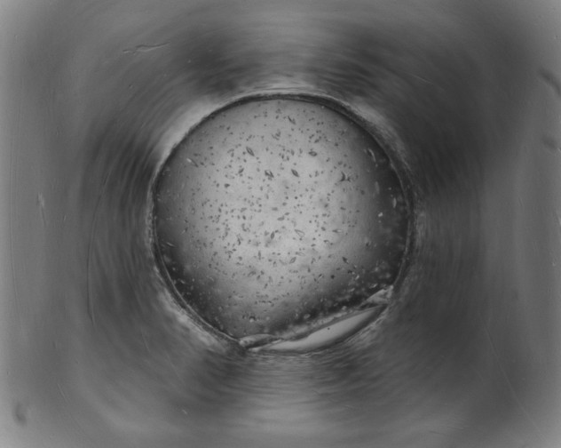 X0000101471374200807211327