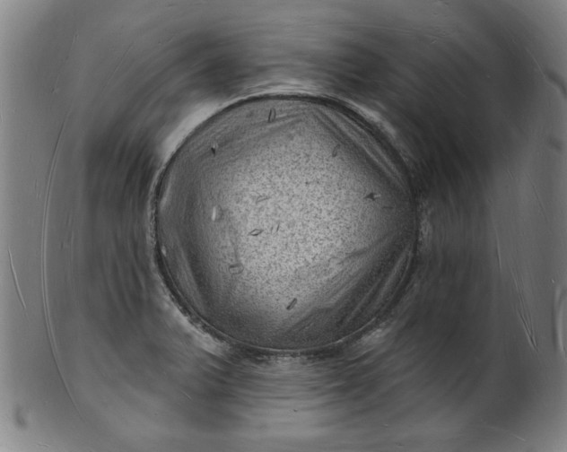 X0000101471375200807211327