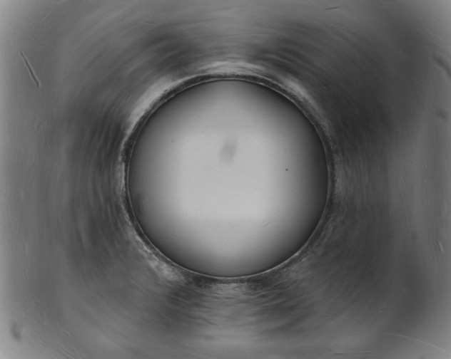 X0000101471376200807211327