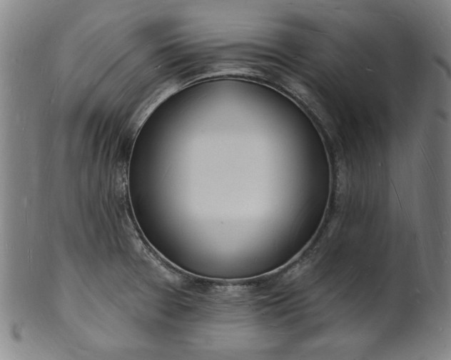 X0000101471377200807211327