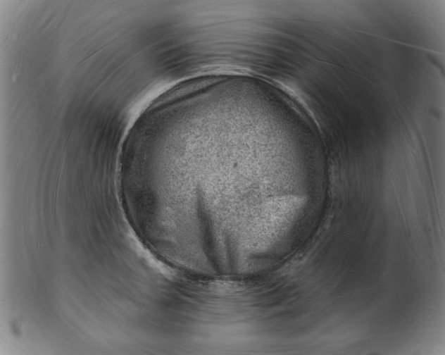 X0000101471379200807211327