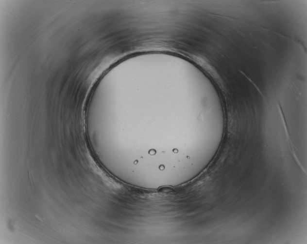 X0000101471380200807211327