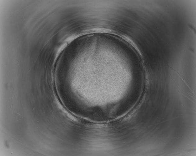 X0000101471381200807211327