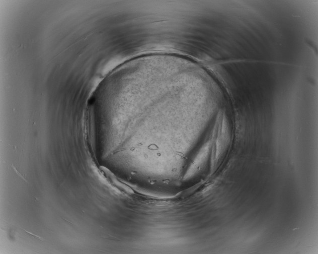 X0000101471382200807211327