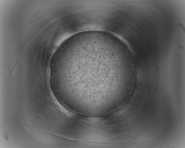 X0000101471383200807211327