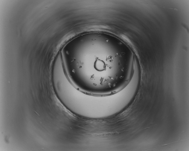 X0000101471384200807211327