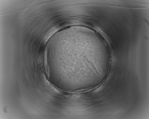 X0000101471385200807211327