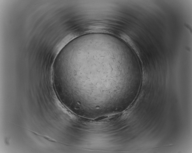 X0000101471386200807211327