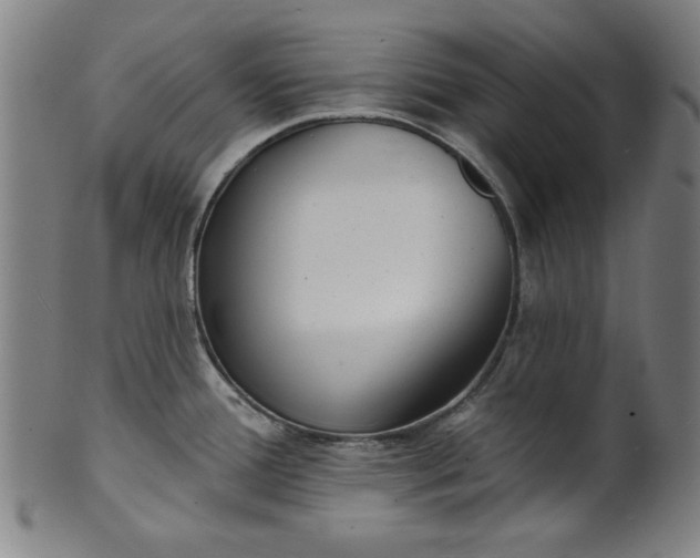 X0000101471388200807211327