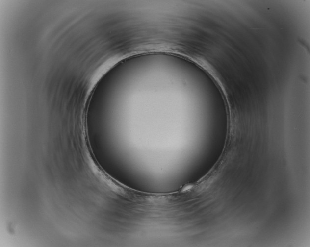 X0000101471389200807211327