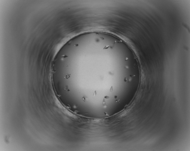 X0000101471390200807211327