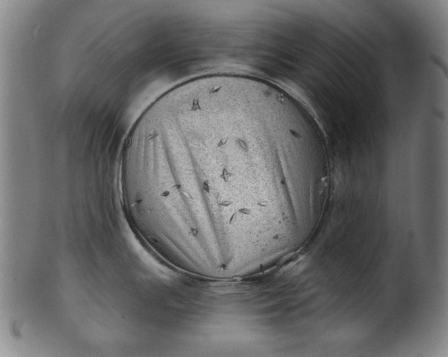 X0000101471391200807211327