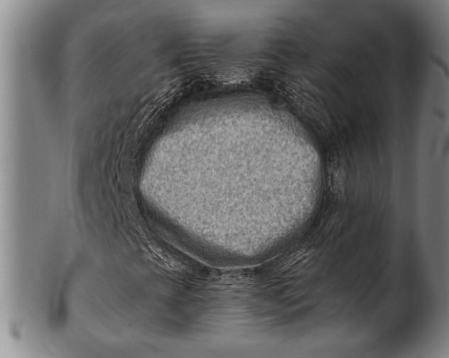 X0000101471393200807211326