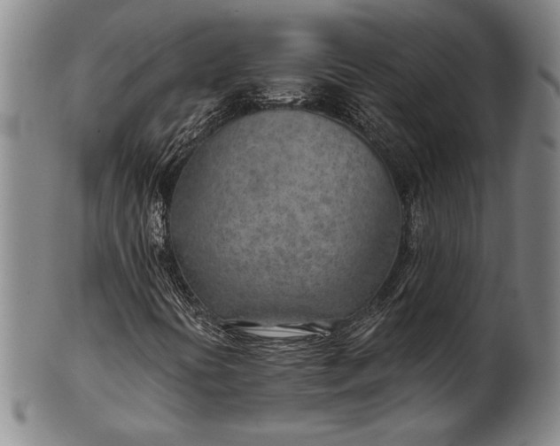 X0000101471394200807211326