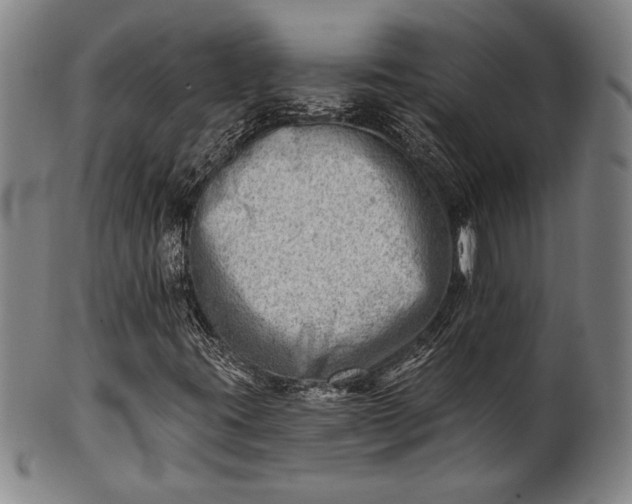 X0000101471395200807211326