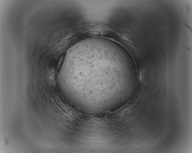 X0000101471396200807211326