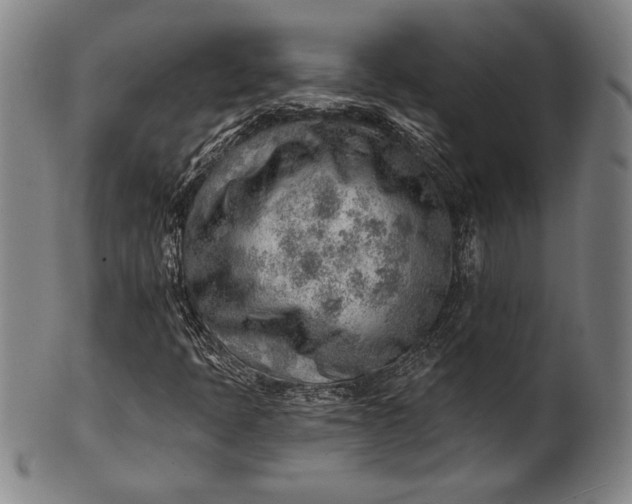 X0000101471397200807211326