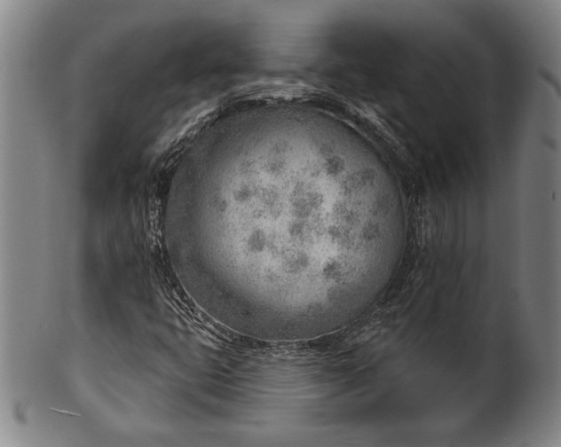 X0000101471399200807211326