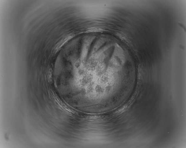 X0000101471401200807211326