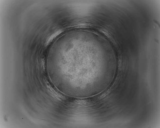 X0000101471402200807211326