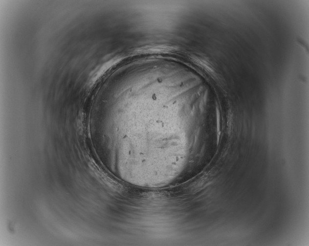 X0000101471404200807211326