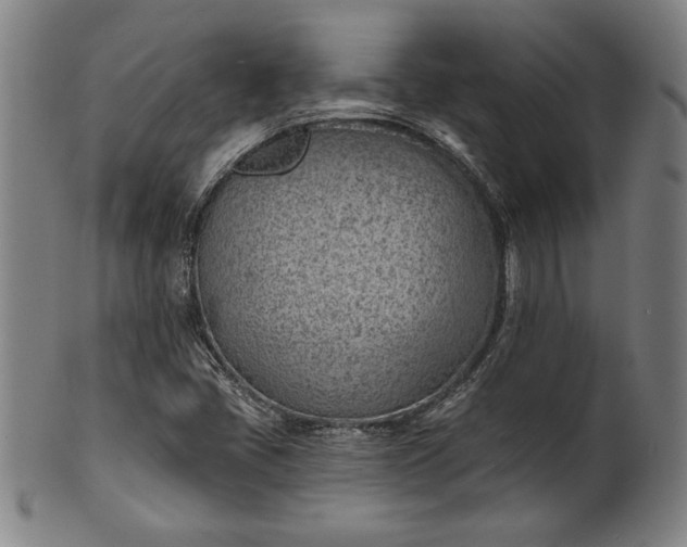 X0000101471405200807211326