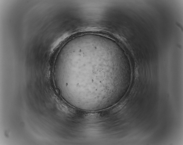 X0000101471406200807211326