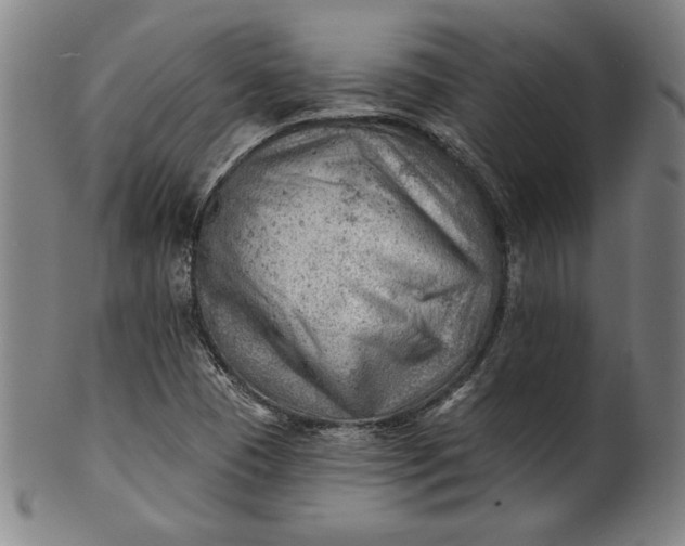 X0000101471409200807211326