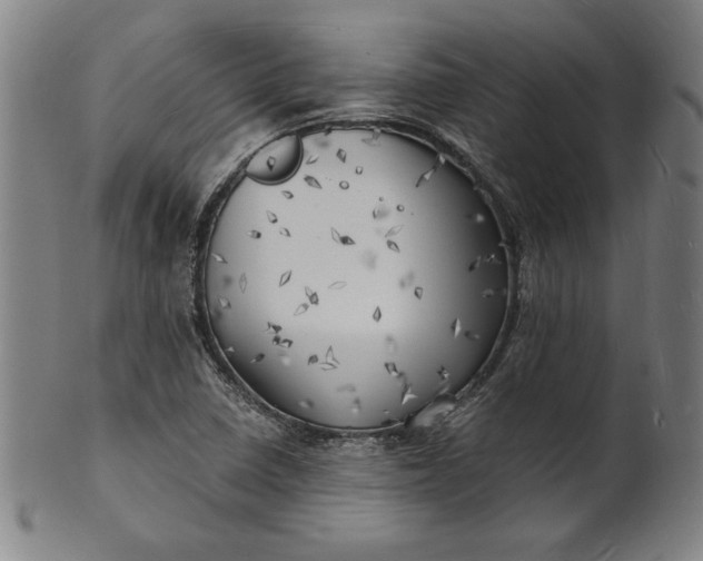 X0000101471410200807211326