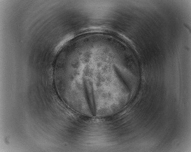 X0000101471411200807211326