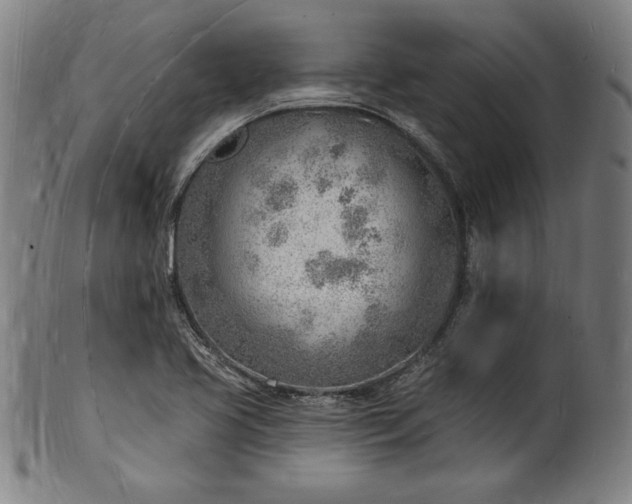 X0000101471413200807211326