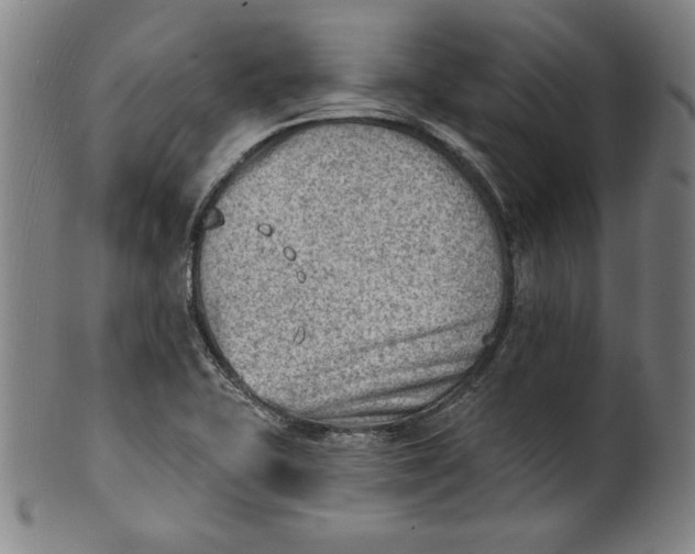 X0000101471415200807211327