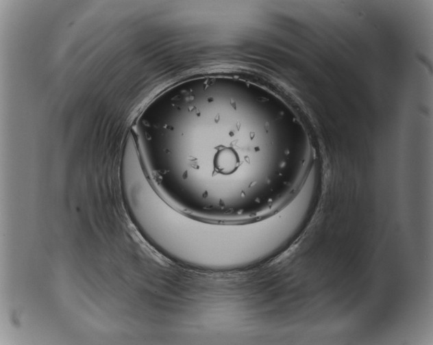 X0000101471417200807211327