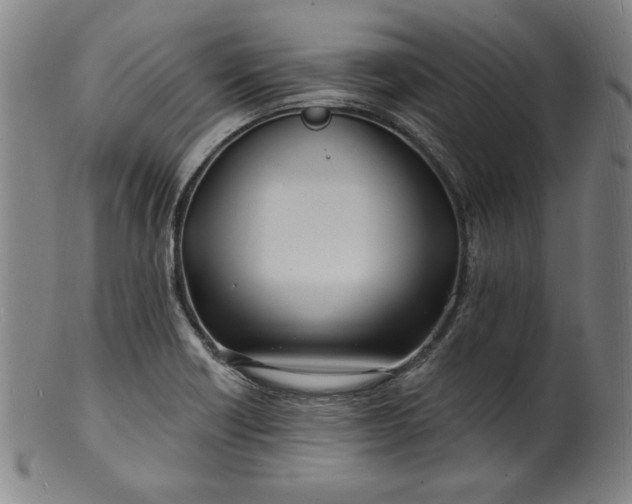 X0000101471418200807211327