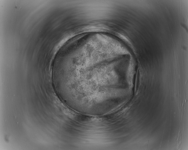 X0000101471419200807211327