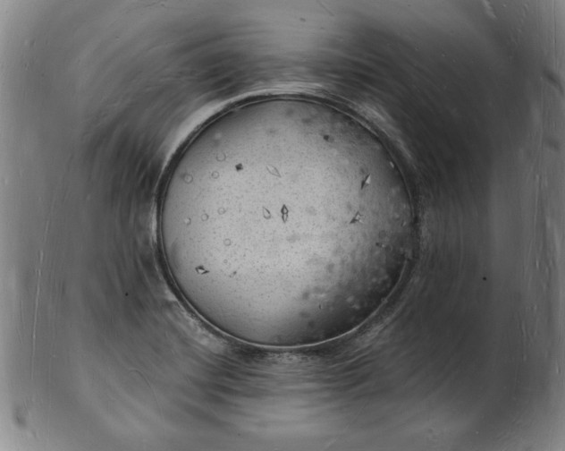 X0000101471420200807211327