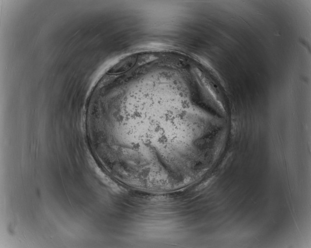 X0000101471421200807211327