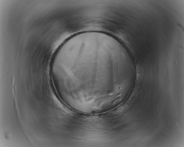 X0000101471422200807211327