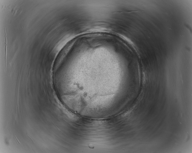 X0000101471423200807211327