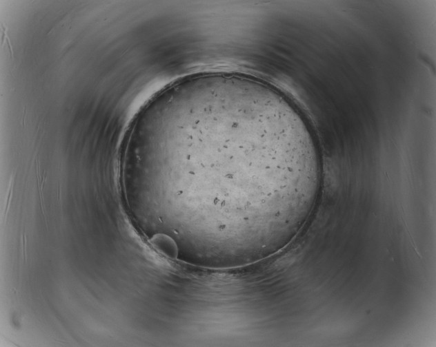 X0000101471424200807211327