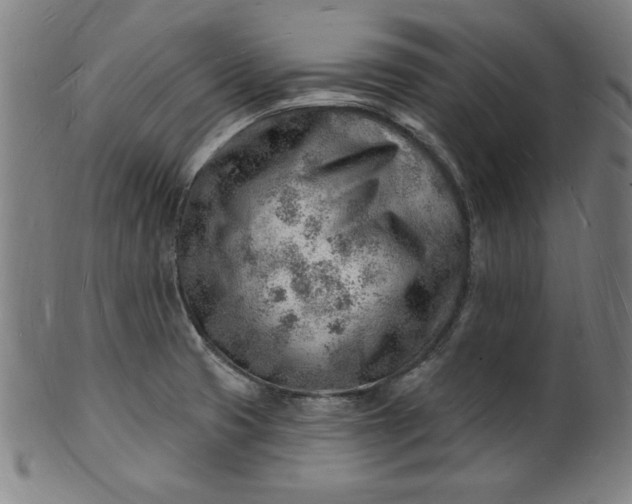 X0000101471425200807211327