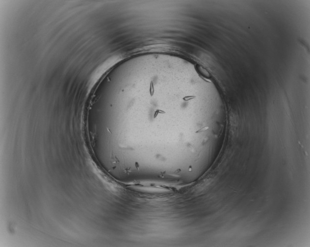 X0000101471426200807211327