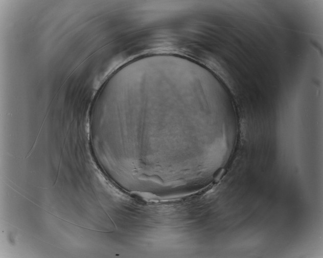 X0000101471428200807211327