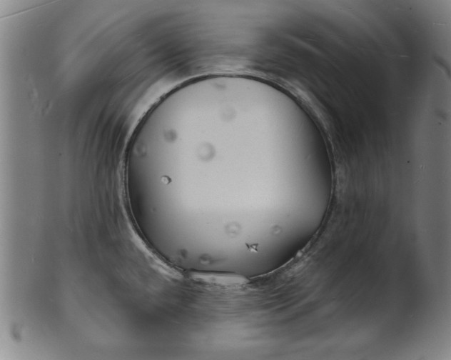 X0000101471432200807211327