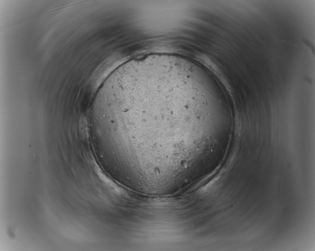 X0000101471433200807211327