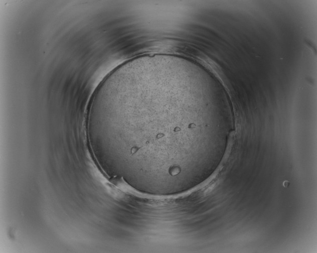 X0000101471434200807211327