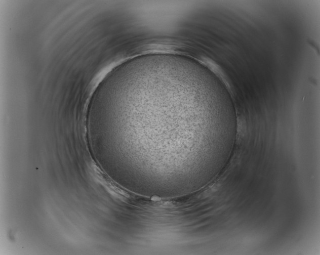 X0000101471435200807211327